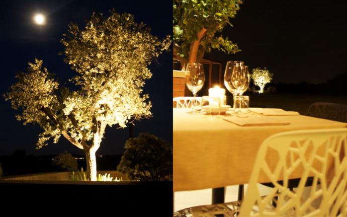 Agriturismo Colombarino Villa Desenzano del Garda Kültér fotó